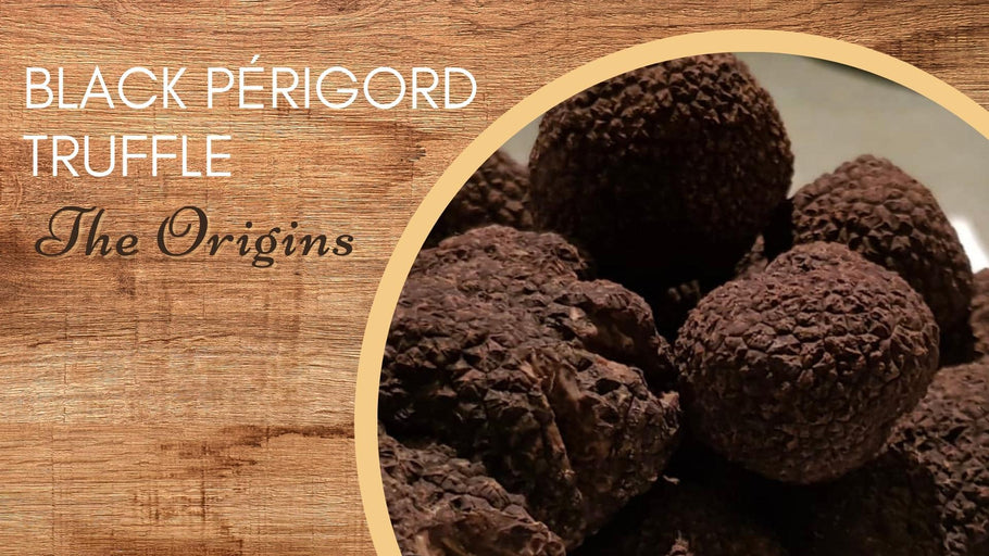 The Origin of Black Périgord Truffles