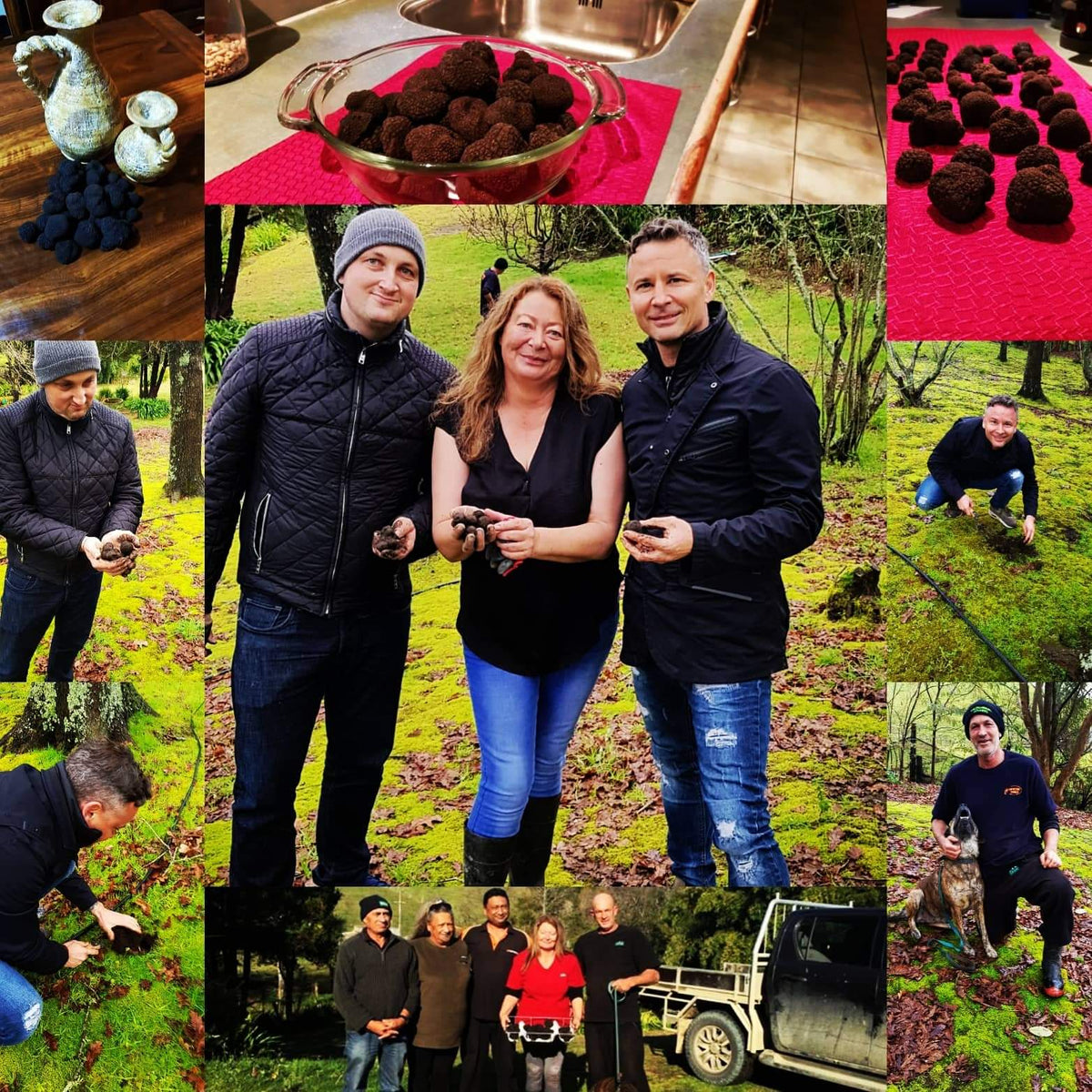 Black Périgord Truffle New Zealand